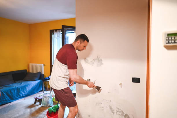 West Covina, CA Mold Remediation Company